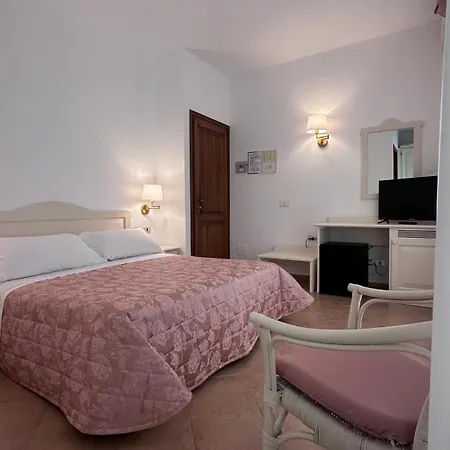 Terranova أولبيا