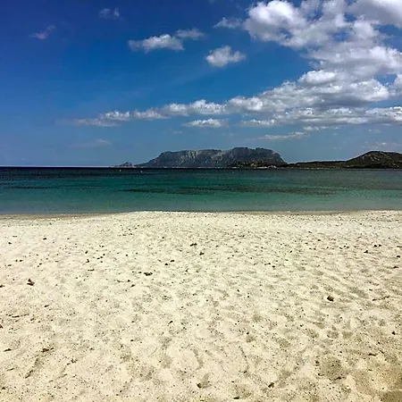 Terranova