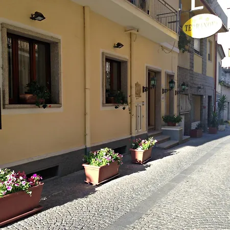 Terranova أولبيا