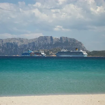 Hotel Terranova 3*